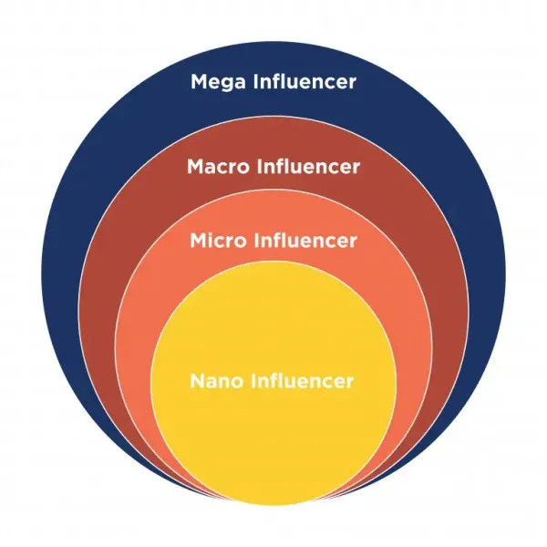 lingkaran influencer nano dan micro mega